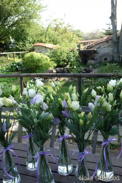 Svatba v Auberge de Provence