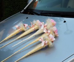 Svatba u zříceniny hradu Zvířetice