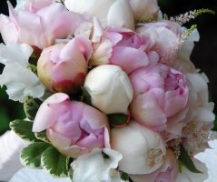 Svatba u zříceniny hradu Zvířetice