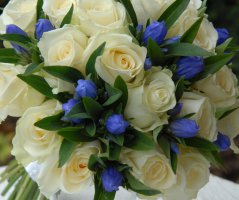 Svatba v Chateau St.Havel