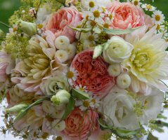 Svatba v Panenském Týnci