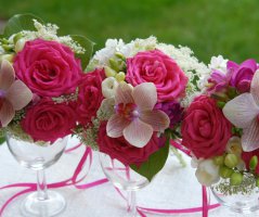 Svatba v Průhonickém parku