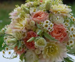 Svatba v Panenském Týnci