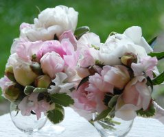 Svatba u zříceniny hradu Zvířetice