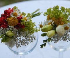 Svatba v Jeseníkách