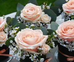 Svatba v lososových tónech