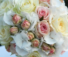 Svatba na zámku Liblice