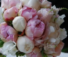 Svatba u zříceniny hradu Zvířetice