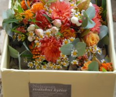 Svatba v podzimních tónech