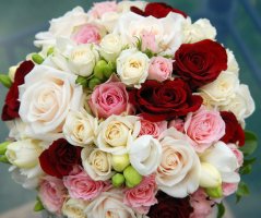 Svatba ve Vrtbovské zahradě