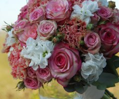 Svatba ve starorůžovém tónu