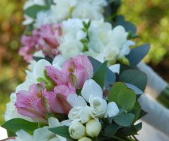 Svatba ve starorůžovém tónu