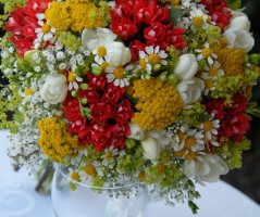 Svatba v Jeseníkách