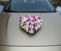 Svatba v Auberge de Provence