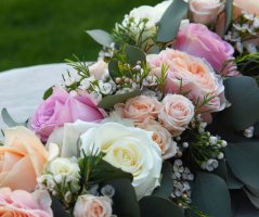 Svatba v lososových tónech