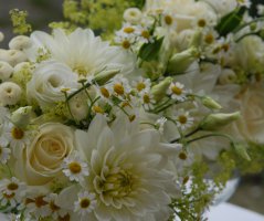 Svatba v Panenském Týnci