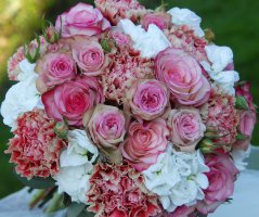 Svatba ve starorůžovém tónu