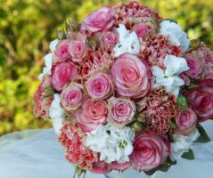 Svatba ve starorůžovém tónu