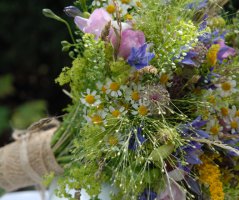 Svatba na Levém Hradci