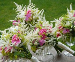 Svatba na hradě Zvíkov