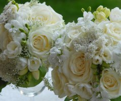 Svatba v Průhonickém parku