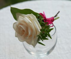 Svatba v Průhonickém parku