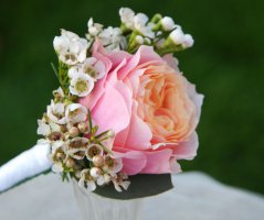 Svatba v lososových tónech