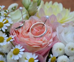 Svatba v Panenském Týnci