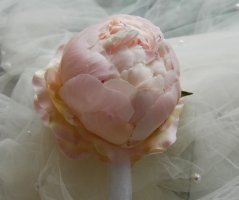 Růžová pivoňková svatba