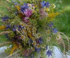 Svatba na Levém Hradci