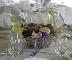 Levandulová svatba v Botanice