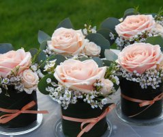 Svatba v lososových tónech