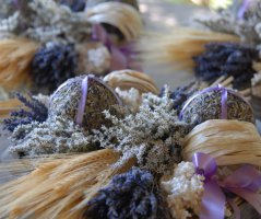 Levandulová svatba v Botanice