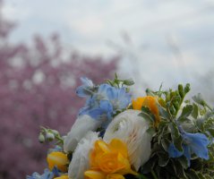 Na zámku ve Slatiňanech