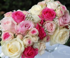 Svatba v penzionu U farmáře