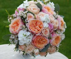 Svatba v lososových tónech