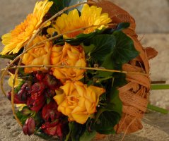 Všichni tam někoho máme