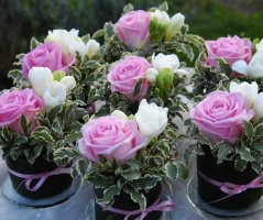 Romantická svatba v kapli Sv. Kláry