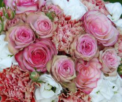 Svatba ve starorůžovém tónu