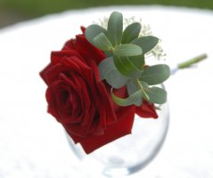 Svatba na Červeném hrádku