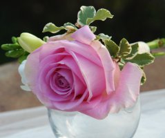 Romantická svatba v kapli Sv. Kláry