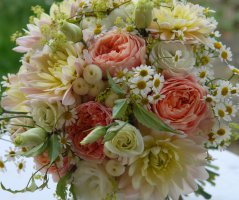 Svatba v Panenském Týnci