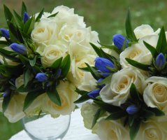 Svatba v Chateau St.Havel