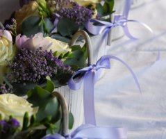 Levanulová v Mikulově