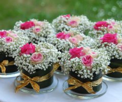 Svatba v penzionu U farmáře