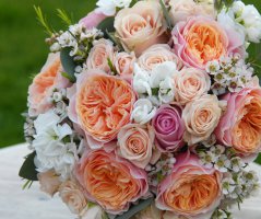 Svatba v lososových tónech