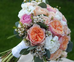 Svatba v lososových tónech