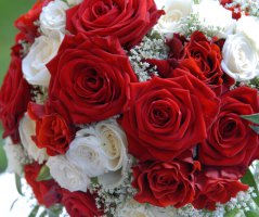 Svatba na Červeném hrádku