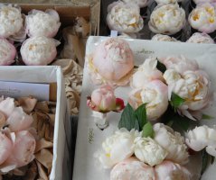 Růžová pivoňková svatba