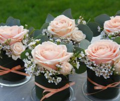 Svatba v lososových tónech